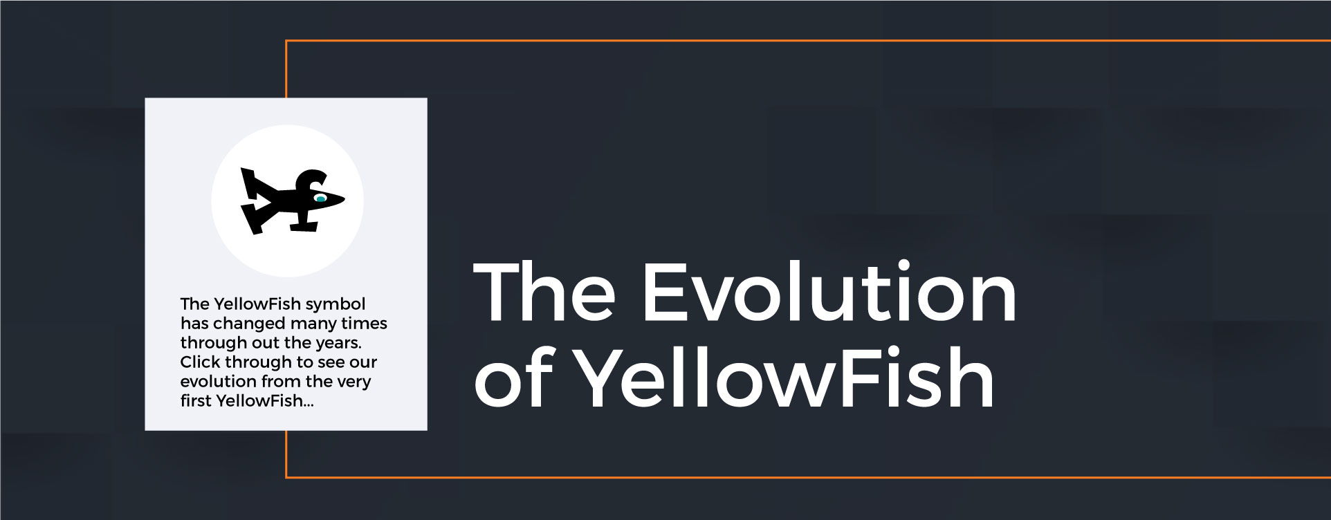 Evolution of Yellowfish Slide 1